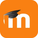 خرید مودل فارسی